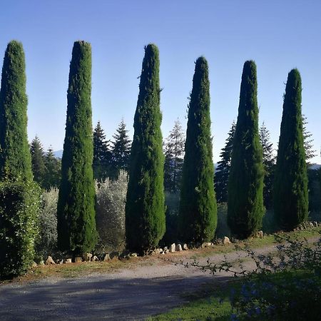 Vetriano Casa Marconi 빌라 외부 사진
