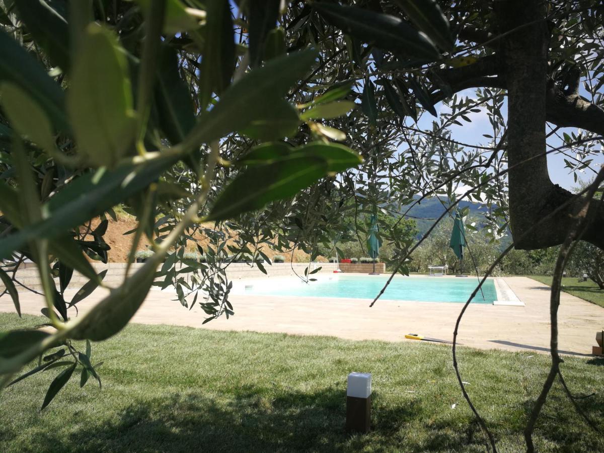 Vetriano Casa Marconi 빌라 외부 사진