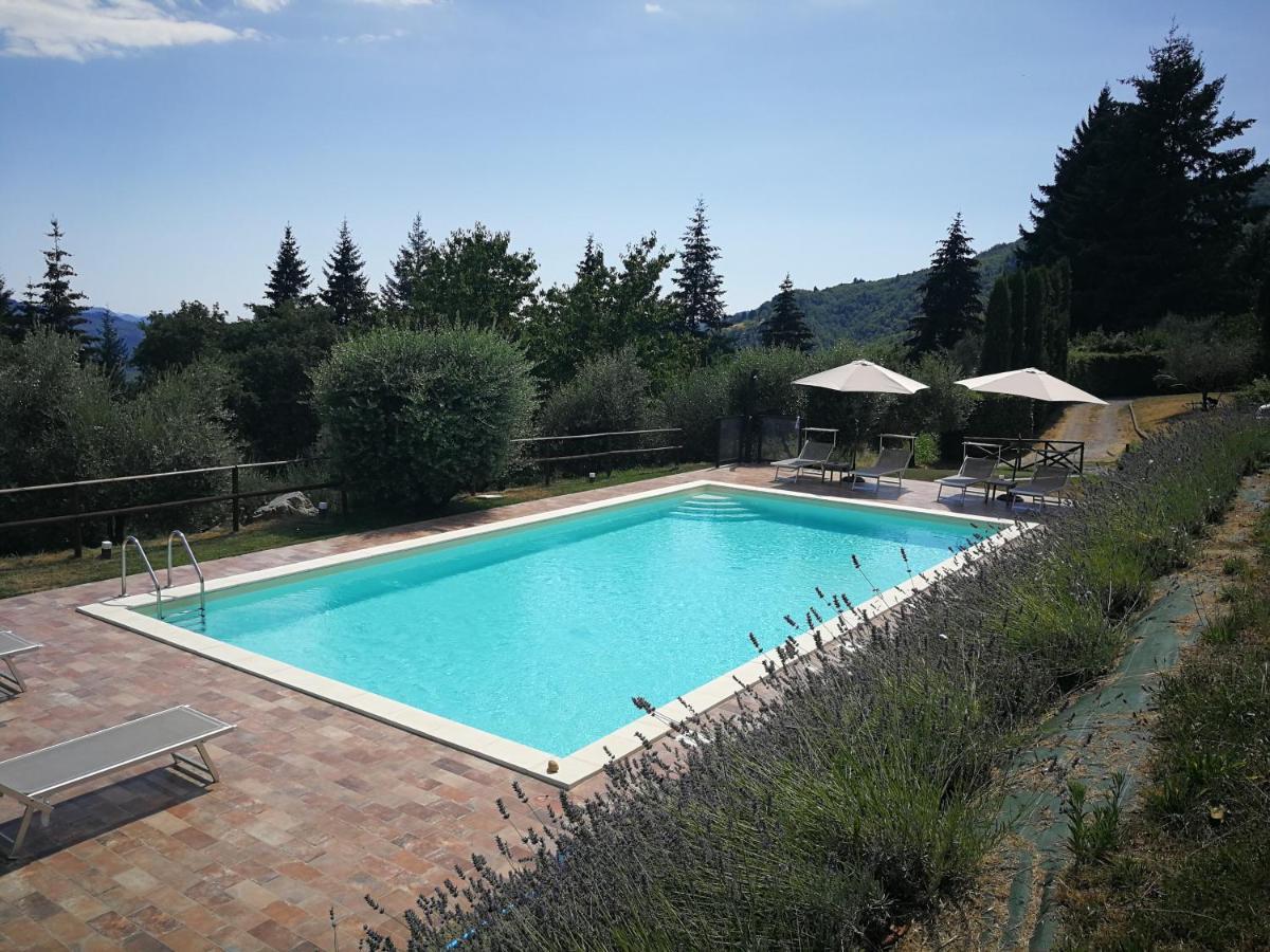 Vetriano Casa Marconi 빌라 외부 사진