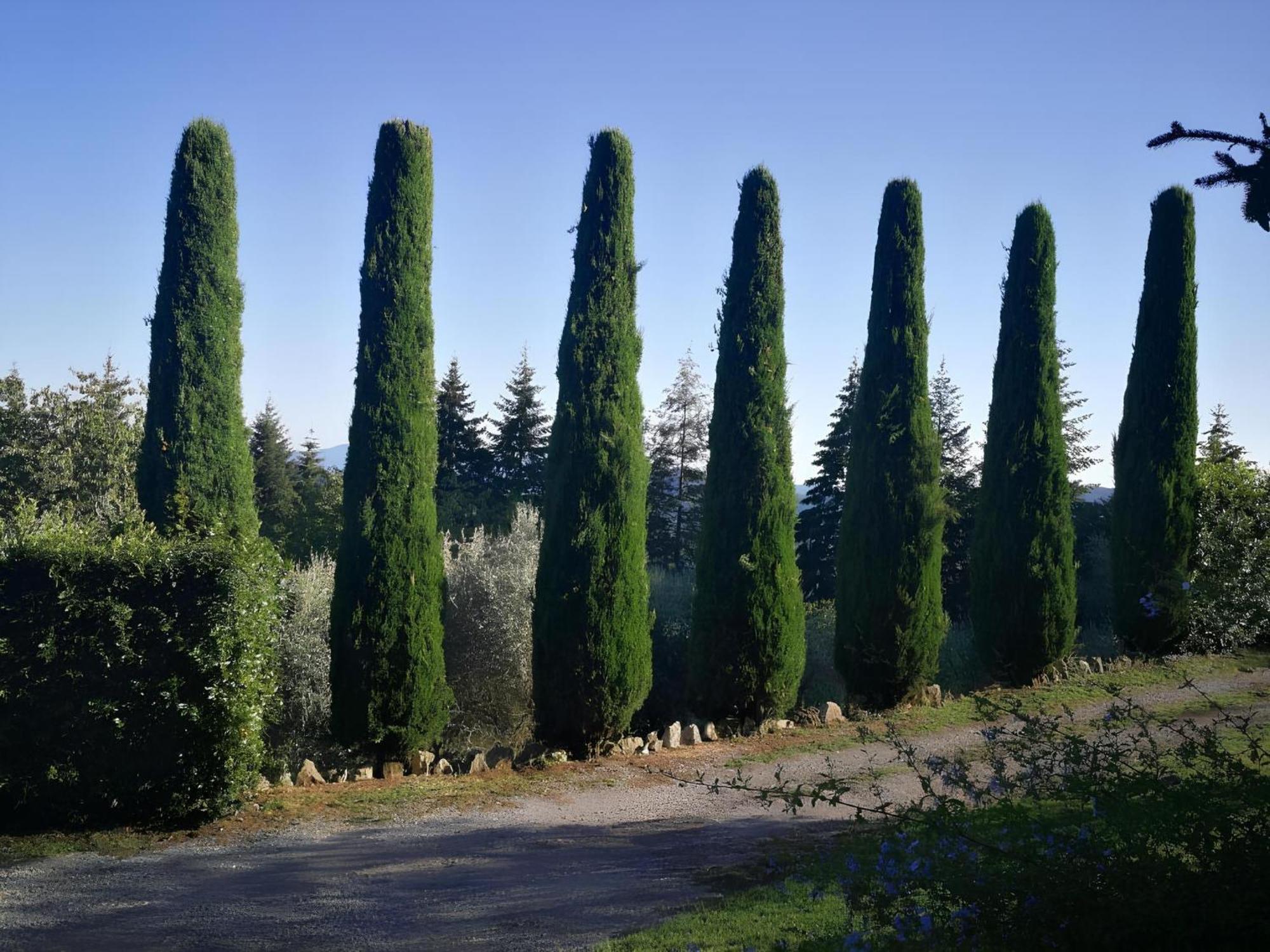 Vetriano Casa Marconi 빌라 외부 사진